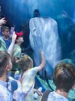 Дети работников Группы компаний «Приморский завод» отправились изучать подводный мир